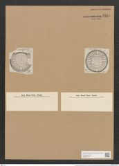 Campylodiscus latus Shadb. (de-Toni-Nr.: Genus 57, Species 2460) Zeichnungen Sammlung Grunow Nr. 4955 (NHMW-BOT-W0373176)